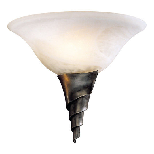 David Hunt Lighting AWW8 Spiral Glass Wall Washer Steel