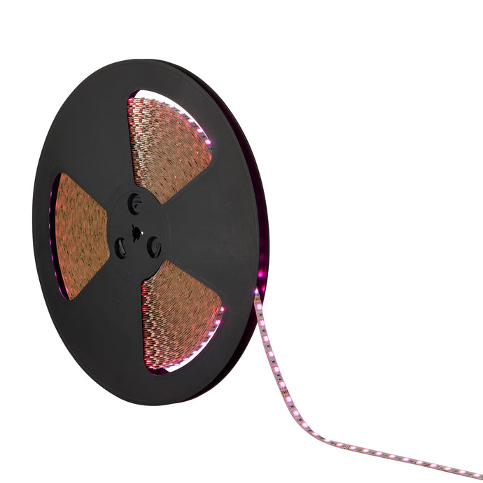Saxby Lighting 99044 OrionRGB LED 12W/M 30M 360W - 33542