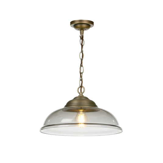 David Hunt Lighting WEB0110 WEBSTER 1 light pendant smoked glass with antique brass