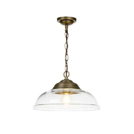 David Hunt Lighting WEB0175 WEBSTER 1 light pendant clear glass with antique brass