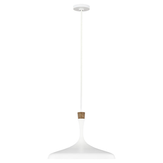 Feiss FE-DARWIN-P Darwin 1 Light Pendant - Matte White