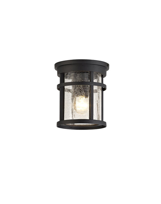 C-Lighting Hawthorn Ceiling, 1 x E27, Black/Clear Crackled Glass, IP54, 2yrs Warranty - 28904