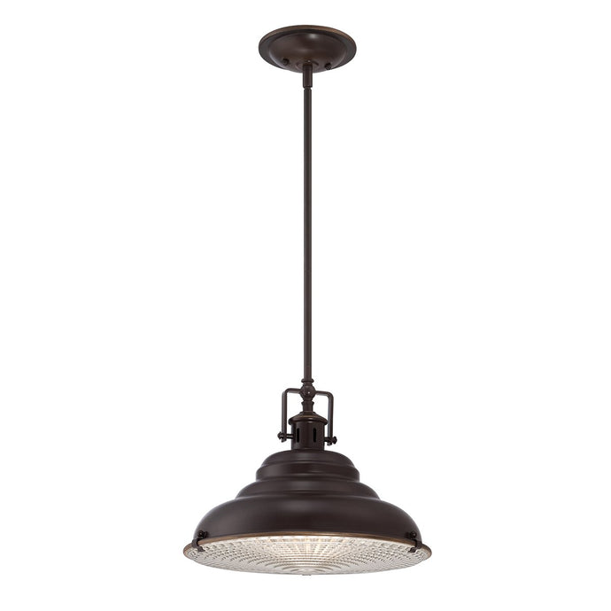 Quoizel QZ-EASTVALE-P-M East Vale 1 Light Large Pendant