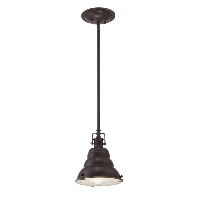 Quoizel QZ-EASTVALE-P-S East Vale 1 Light Mini Pendant